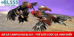 Da Ga Campuchia BL555 – The Gioi Cuoc Ga Kinh Dien