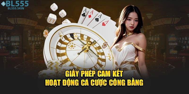 Ý nghĩa của giấy phép hoạt động BL555